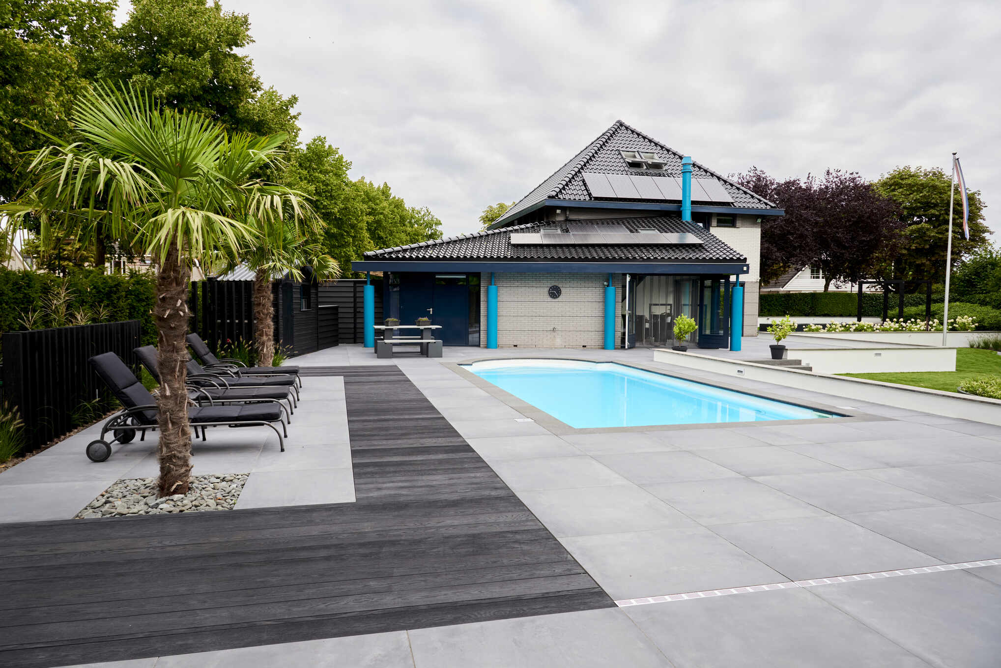 Moderne tuin met zwembad